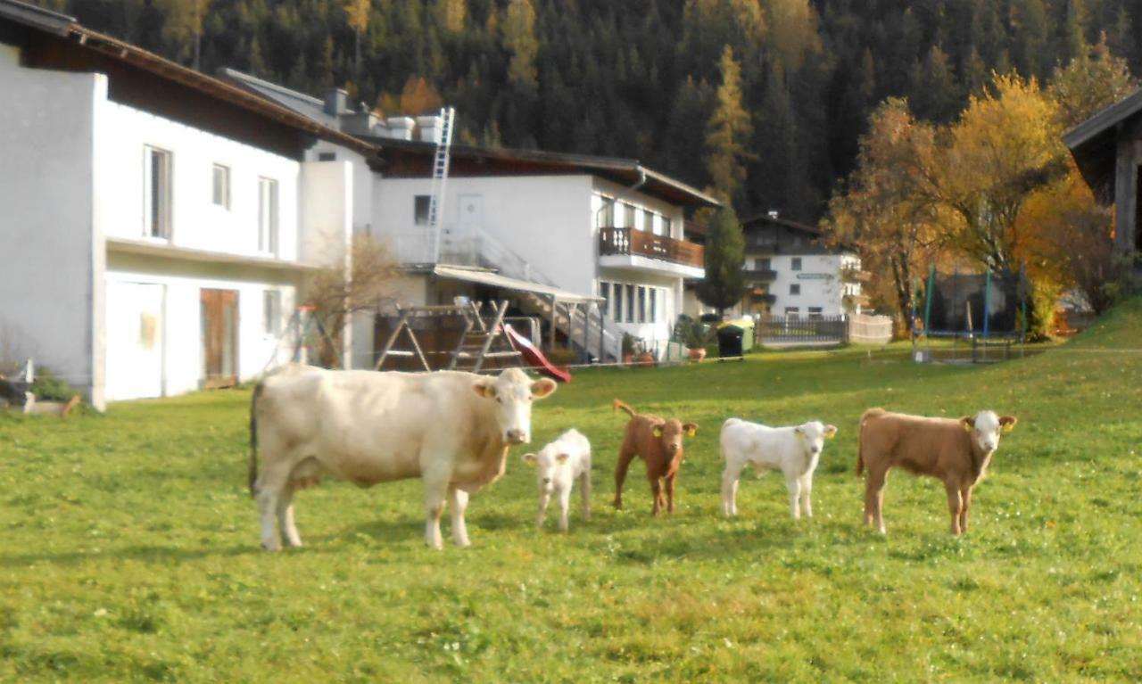 Ferienhaus Dankl ホラースバッハ・イム・ピンツガウ エクステリア 写真